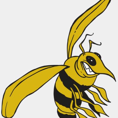 AR5 BEE 13 RQC Thumbnail