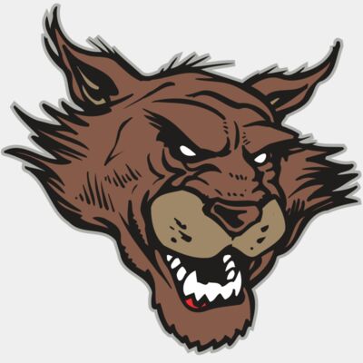 AR WILDCAT 11 RC Thumbnail