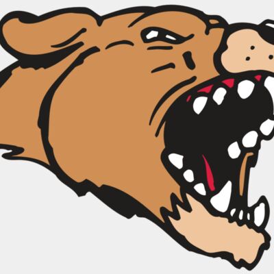 AR5 COUGAR 33 RQC Thumbnail