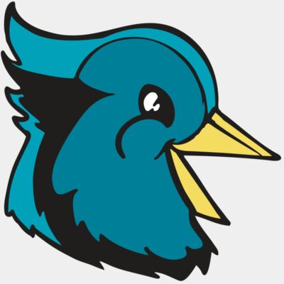 BAW BLUEJAY 11 RC Thumbnail