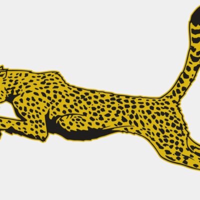 AR CHEETAH 10 RC Thumbnail