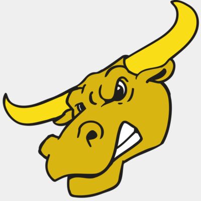 AR BULL 29 RC Thumbnail