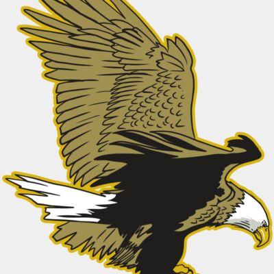 AR10 EAGLE 01 RQC Thumbnail