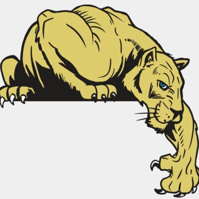 AR10 PANTHER 06 RQC Thumbnail