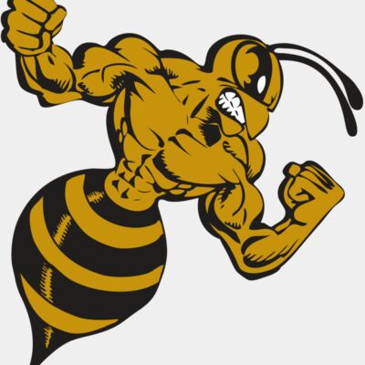 BAW BEE 01 RC Thumbnail