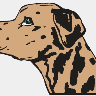 AR2 OTHER 03 RQC Thumbnail