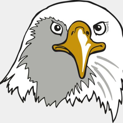 AR EAGLE 39 RC Thumbnail