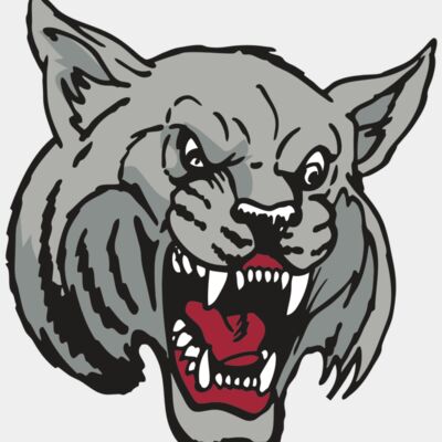 AR WILDCAT 42 RC Thumbnail