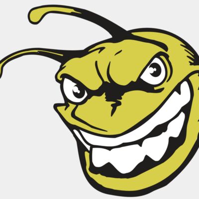 AR5 BEE 08 RQC Thumbnail