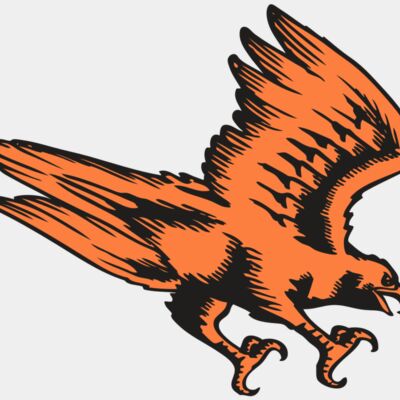 BAW HWK FLCN 04 RC Thumbnail