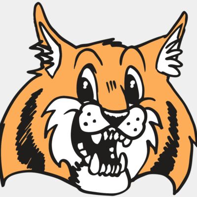 AR WILDCAT 13 RC Thumbnail