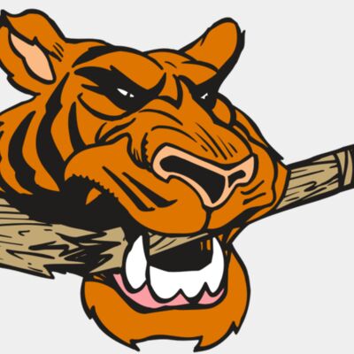 AR5 Tiger 11 RQC Thumbnail