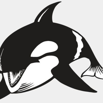 BAW KLRWHALE 04 RC Thumbnail