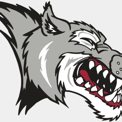 AR WOLF 15 RC Thumbnail