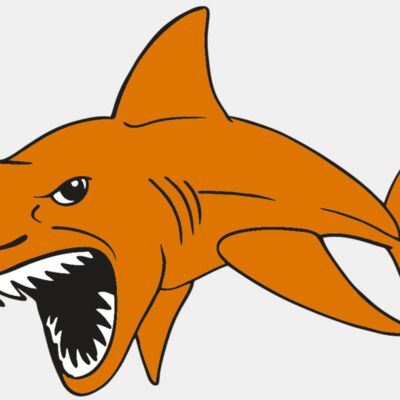 AR  SHARK 20 RC Thumbnail