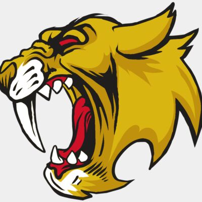 AR30 SABER 04 RQC Thumbnail