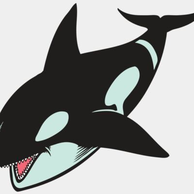 BAW KLRWHALE 02 RC Thumbnail