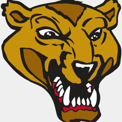 AR2 WOLVERINE 01 RQC Thumbnail