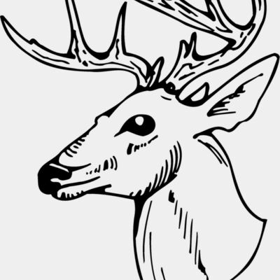 DEER018 Thumbnail