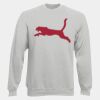DryBlend® Adult Crewneck Sweatshirt Thumbnail