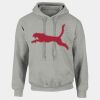 DryBlend®  Adult Hooded Sweatshirt Thumbnail
