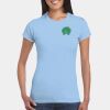 Softstyle® Ladies' T-Shirt Thumbnail