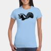 Softstyle® Ladies' T-Shirt Thumbnail